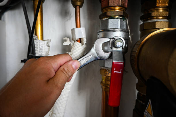 Best Shower Repair Services  in Skidway Lake, MI